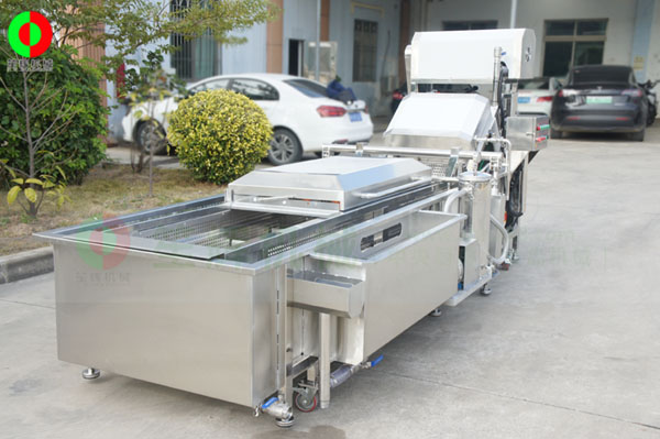 全網鏈洗菜機