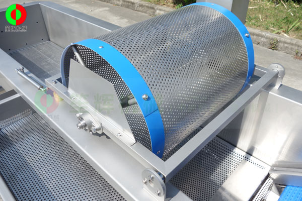 排渣除雜洗菜機