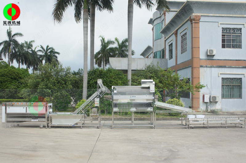 鯪魚加工生產線