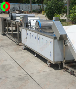 國外客戶訂制的藍莓自動清洗分選生產線順利生產完成測試中！