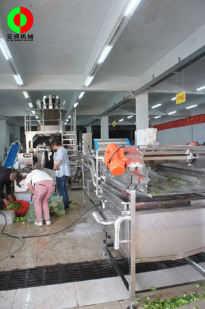 客戶自帶大批物料到我司測試蔬果處理設備后簽訂定購合同！