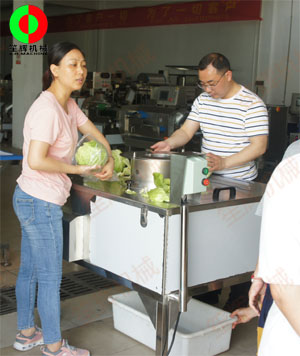 蔬果分瓣機現場測試，客戶滿意切割效果！