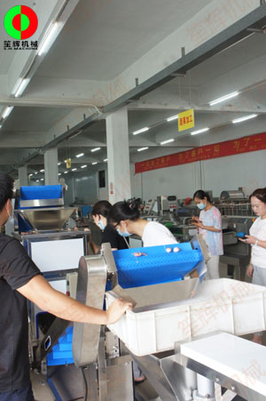 惠州客戶王小姐親臨我司測(cè)試洋蔥脫皮及切碎設(shè)備！