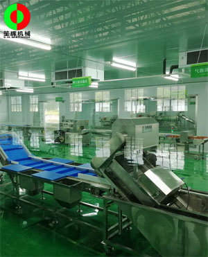 廣西蒙山標準化凈菜加工車間項目，毛菜加工車間順利完工！