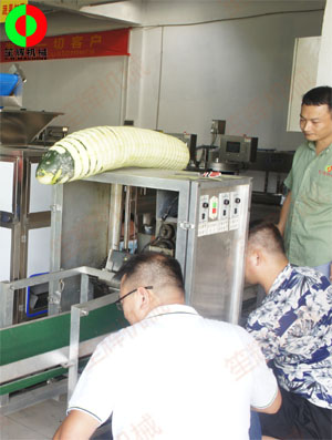 東莞客戶來廠現場測試臥式冬瓜削皮加工機械設備！