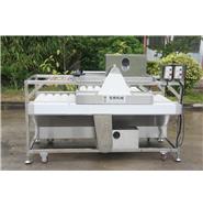 甘蔗清洗機/大型洗甘蔗機QM-2(視頻)