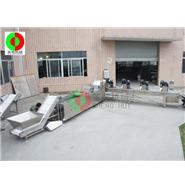 多功能洗菜機/洗菜機生產線/切菜-洗菜-風干生產線（視頻）