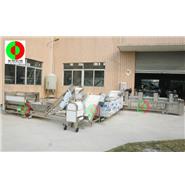 連續式蔬果去皮清洗切割風干生產線