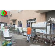 大型蔬果去皮切割清洗生產線(視頻)