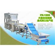 大型全自動盒式真空包裝/封口生產線(視頻)