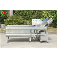 氣泡洗菜機(jī)\臭氧消毒蔬果清洗機(jī) Q-22A