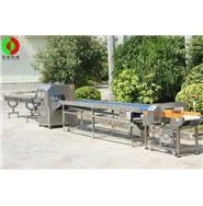 蔬菜包裝生產線/蔬果枕式包裝金屬檢測生產線(視頻)