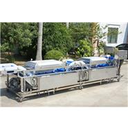 無損洗菜機(jī)/蔬果無損清洗機(jī)/蔬菜無損清洗線 WS-60E(視頻)